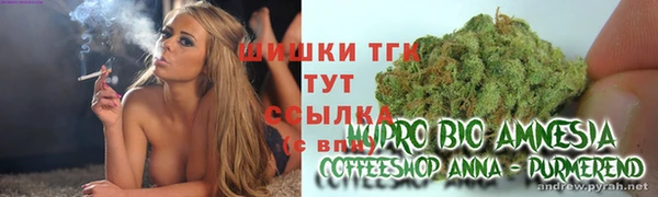 дживик Володарск