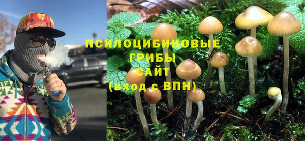дживик Володарск