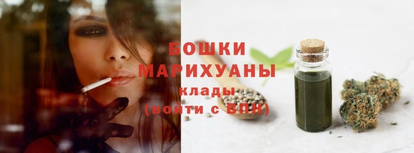 дживик Володарск