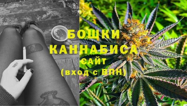 ПСИЛОЦИБИНОВЫЕ ГРИБЫ Волоколамск