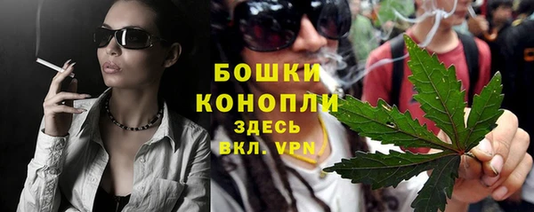 дживик Володарск