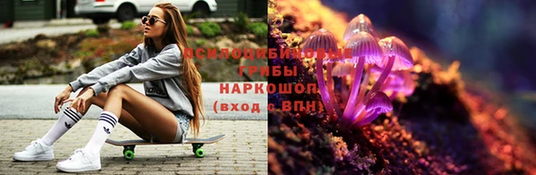 ПСИЛОЦИБИНОВЫЕ ГРИБЫ Волоколамск
