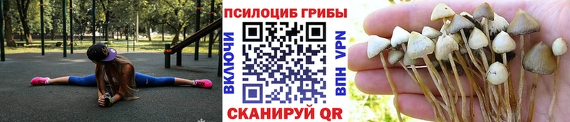 Галлюциногенные грибы мухоморы  Купить где  Курильск 